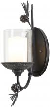  2751-694 - 1 LIGHT OUTDOOR SCONCE