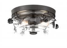  2759-694 - 2 LIGHT FLUSH MOUNT