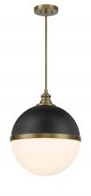  6606-885 - 1 LIGHT PENDANT