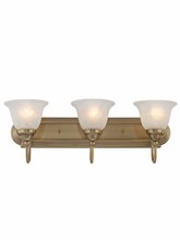  1003-01 - 3 Light Antique Brass Bath Light