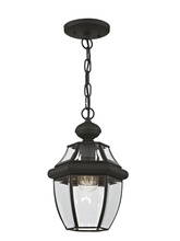  2152-04 - 1 Light Black Outdoor Chain Lantern