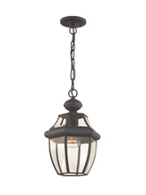  2152-07 - 1 Light Bronze Outdoor Chain Lantern
