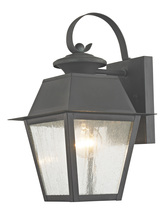  2162-61 - 1 Light Charcoal Outdoor Wall Lantern