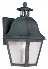  2550-61 - 1 Light Charcoal Outdoor Wall Lantern