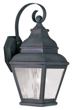  2601-61 - 1 Light Charcoal Outdoor Wall Lantern