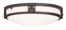  4487-07 - 2 Light Bronze Ceiling Mount