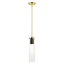  51160-12 - 1 Lt Satin Brass  Pendant