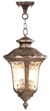  7665-50 - 3 Light Moroccan Gold Chain Lantern