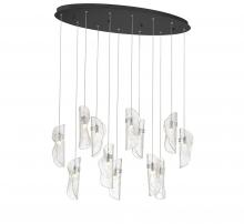  12034-017-02 - Sorrento, 12 Light Oval LED Chandelier, Clear, Black Canopy