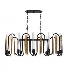  354N10MBAG - Darden 10-Lt Linear Pendant - Matte Black/Antique Gold