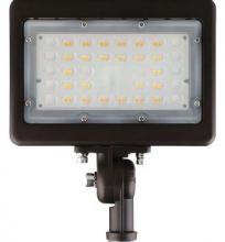  FL-30-CT - 120V CCT Mini Flood Light