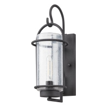 Thesis 207076A - 1L Exterior Wall Sconce