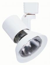  R531 SC - 50W Par Gimbal Satin Chrome