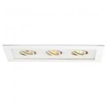 WAC US MT-316-WT/WT - Low Voltage Multiple Two Light Trim