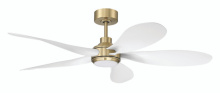 Craftmade RSL52SBW5 - 52" Ceiling Fan w/DC Motor, 5 CCT LED Disk, 2-Wire HW Wall Control