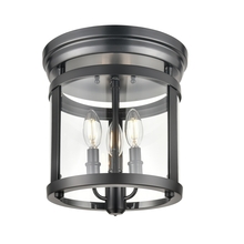  DVP4432EB - Niagara Special Edition 3 Light Flush Mount