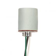  80/1202 - Keyless Porcelain Socket; 1/8 IP Cap; With Set Screw; 61" AWM B/W 150C; CSSNP Screw Shell;