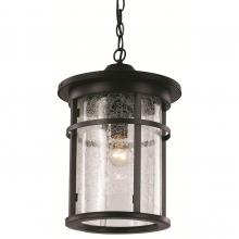 Trans Globe 40386 RT - Avalon Crackled Glass Outdoor Hanging Pendant Light with Open Base