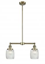  209-AB-G302 - Colton - 2 Light - 22 inch - Antique Brass - Stem Hung - Island Light