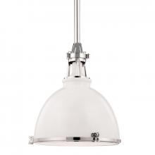  4620-WPN - 1 LIGHT PENDANT