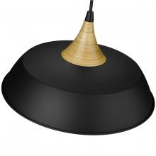  4511-MB - Arlo 1-Light Pendant light Matte Black