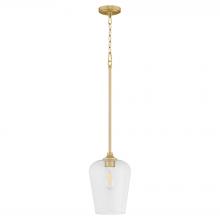  3313-80 - Raymond 1 Light Pendant, Aged Brass