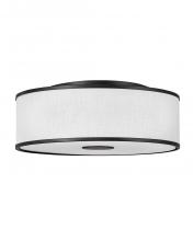  42010BK - Large Flush Mount